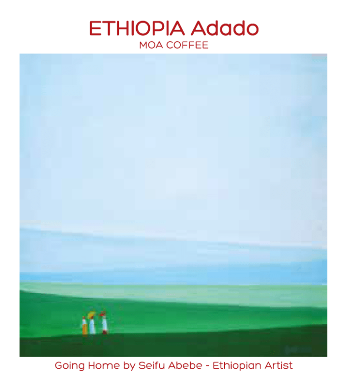 دانه قهوه موآ اتیوپی آدادو
