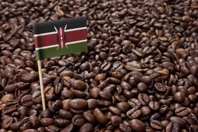 قهوه کنیا در موآ