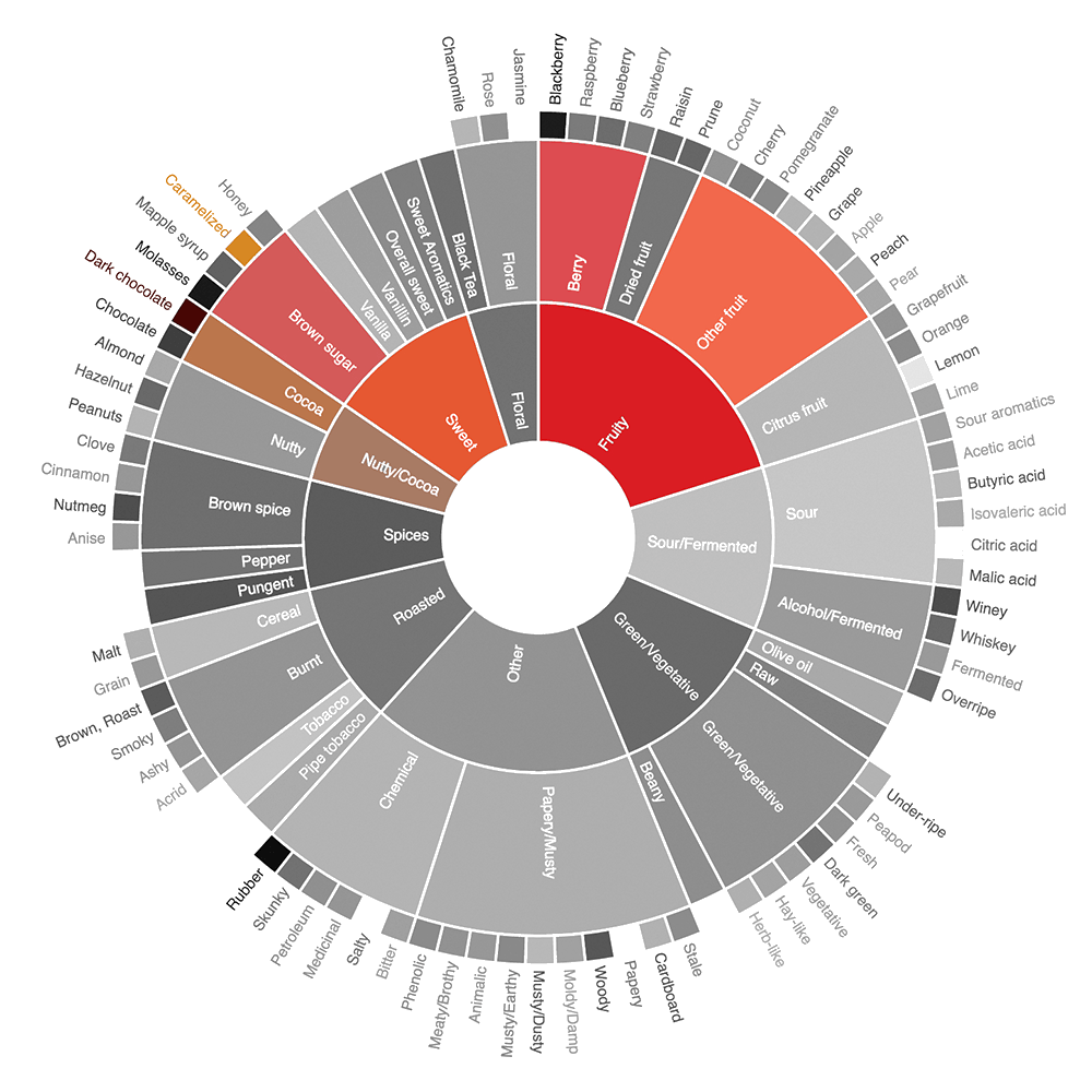 Kenya-Icarus flavor wheel
