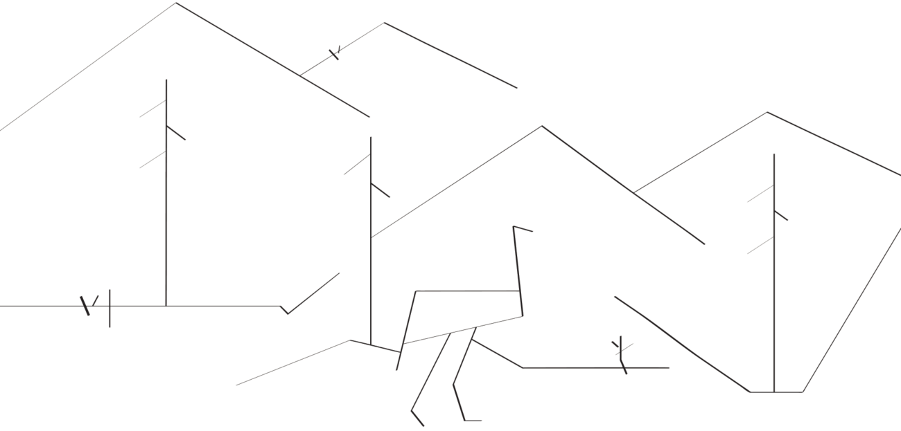 درباره موآ 1 moa bird min