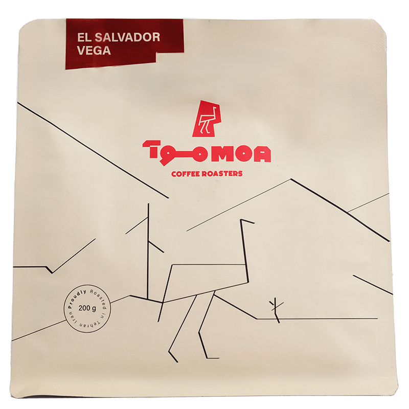 El Salvador Vega Moa