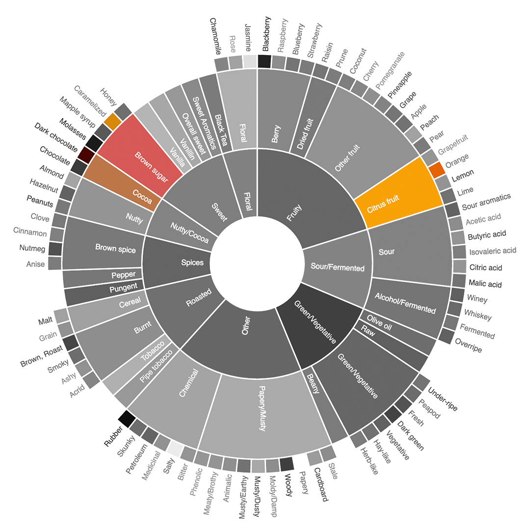 flavour wheel amirparsa