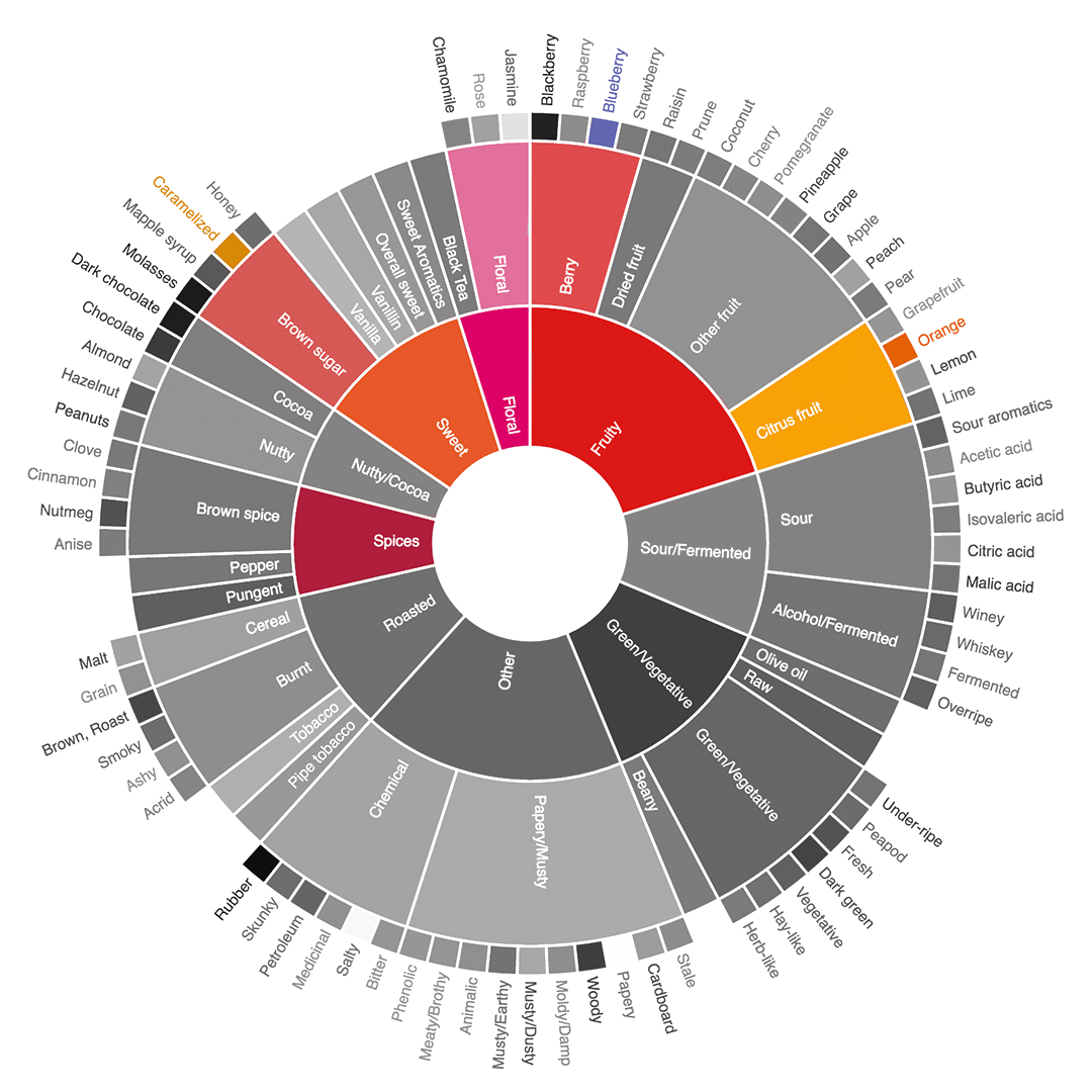 flavour wheel Ethiopia Gatta