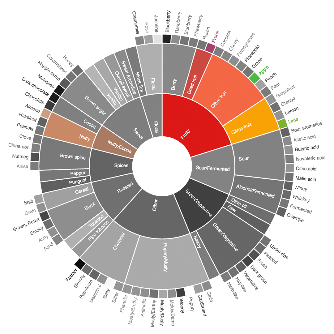 flavour wheel Kenya Algenubi