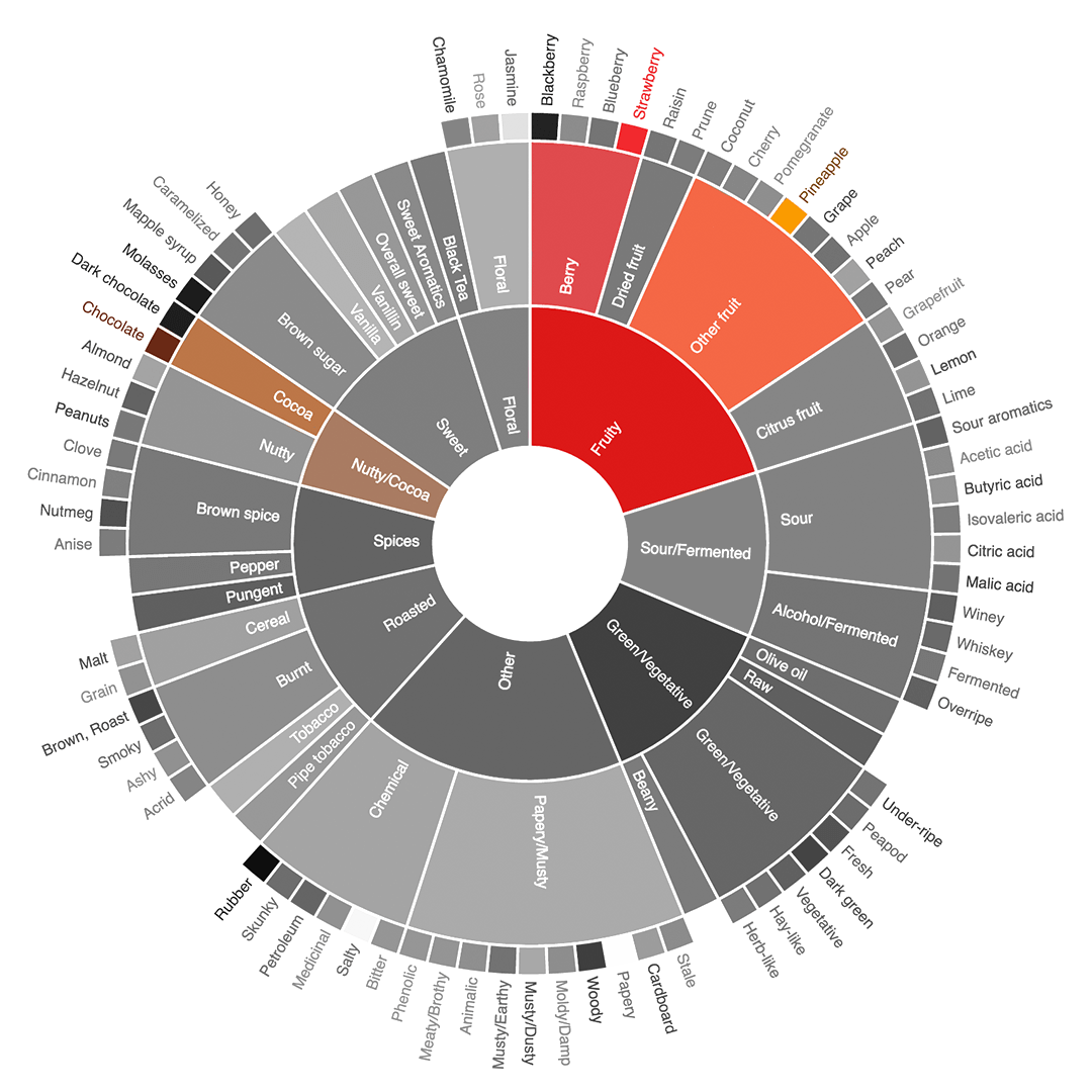 flavour wheel Kenya Shishimai