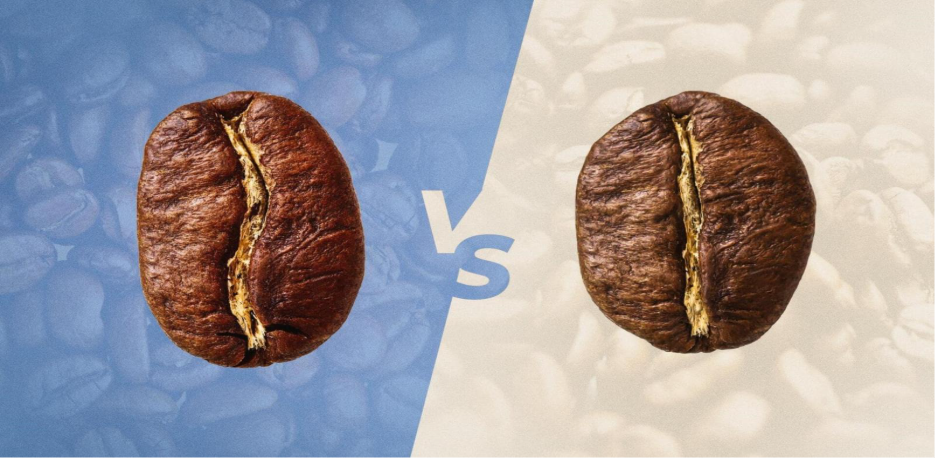 مقایسه قهوه عربیکا و روبوستا