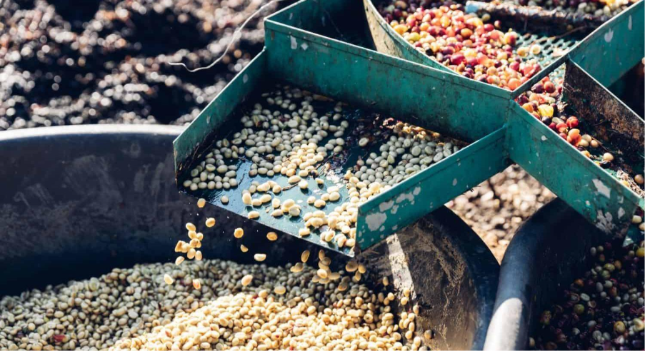 ۷ نکته برای خرید قهوه خوب در ایران 4 image 11