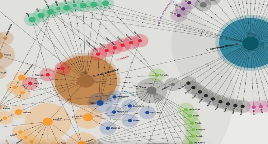 ۷ نکته برای خرید قهوه خوب در ایران 6 image 13