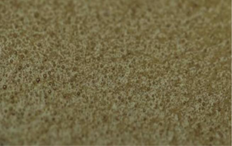 کرما در اسپرسو؛ از ساختار فیزیکی تا ادراک حسی 1 کرما در اسپرسو