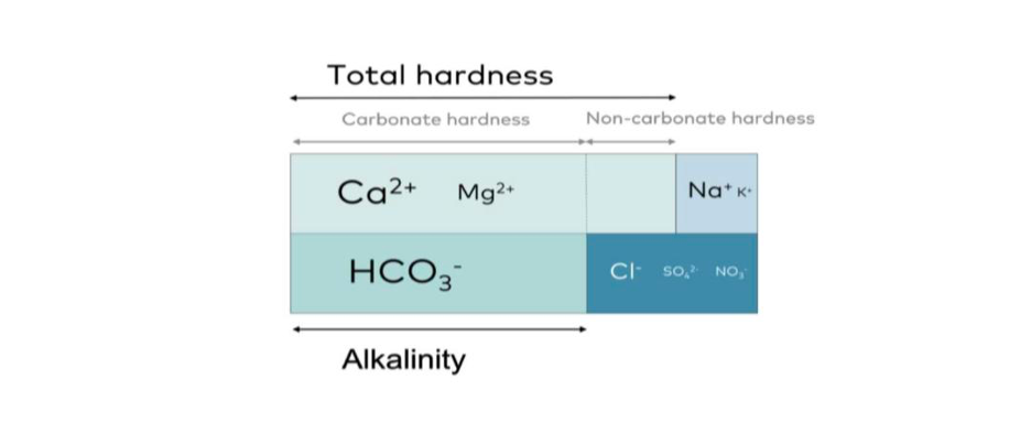 اهمیت و نقش کیفیت آب در قهوه تخصصی 1 image 17