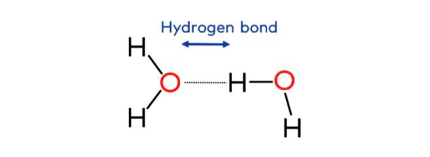 اهمیت و نقش کیفیت آب در قهوه تخصصی 6 image 22