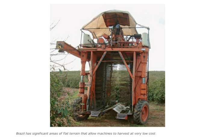 کشورهای بزرگ تولیدکنندهٔ دانهٔ قهوه 1 image 24