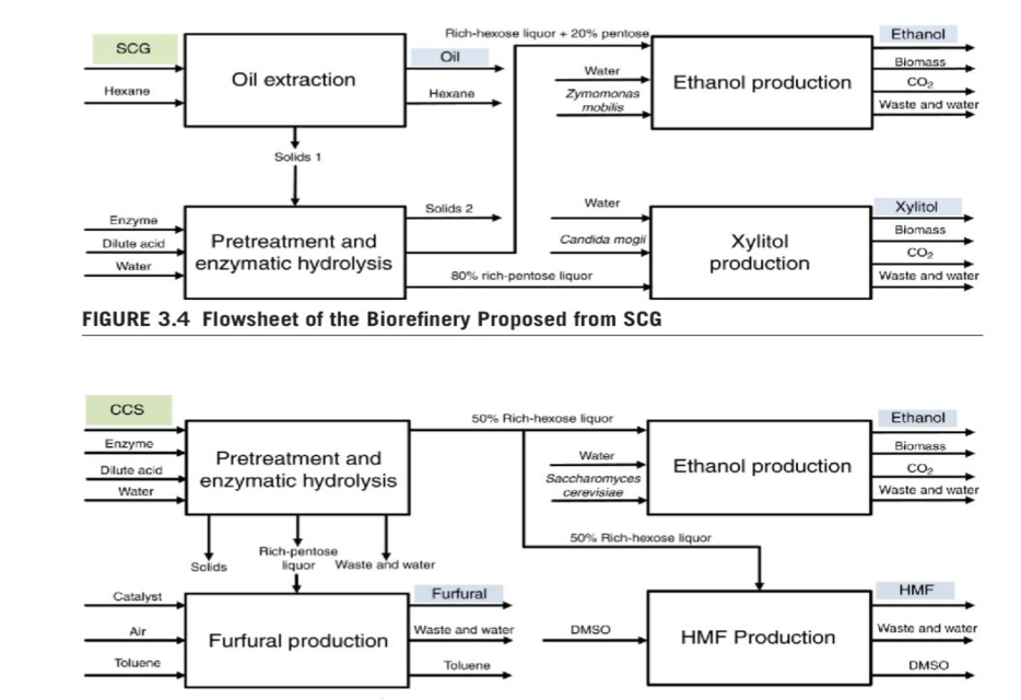 رویکرد بیوپالایشگاه در صنعت قهوه: تبدیل ضایعات به محصولات زیستفعال 3 image 11