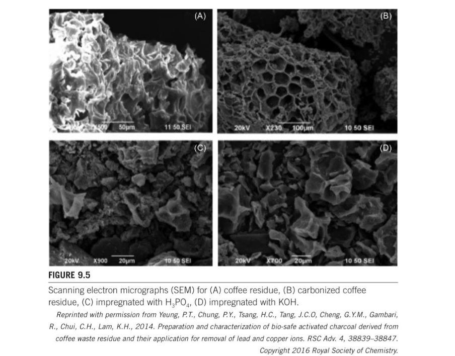 رویکرد بیوپالایشگاه در صنعت قهوه: تبدیل ضایعات به محصولات زیستفعال 6 image 14